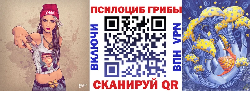 omg ссылка  Шуя  Псилоцибиновые грибы Cubensis 