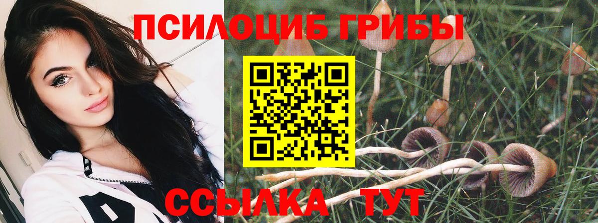 Галлюциногенные грибы Psilocybe  Галлюциногенные грибы ЛСД  Вход с VPN  Шуя 