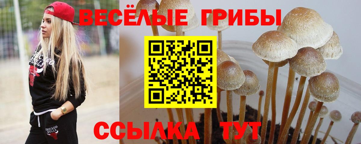 Галлюциногенные грибы ЛСД Шуя